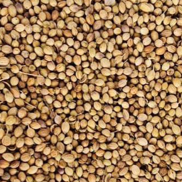 Badami-Coriander-Seeds