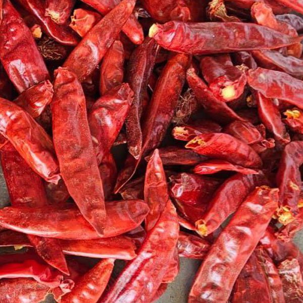 Kashmiri-Chillies