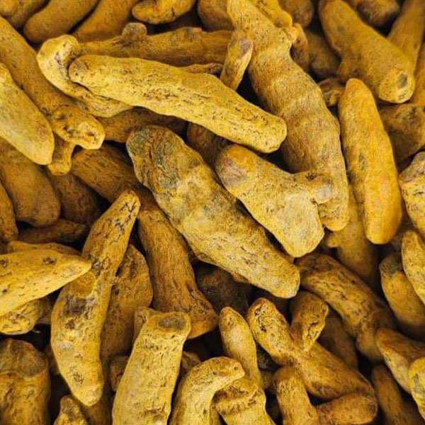 Turmeric-Fingers